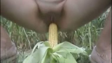 Desi bhabhi outdoor masturbation with long corn stick