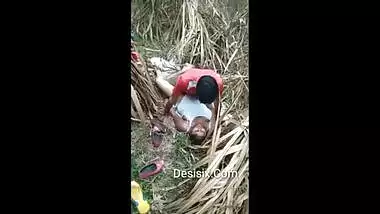 Desi Village Girl Having Jungle Sex