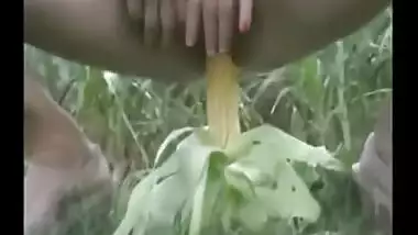 Desi bhabhi outdoor masturbation with long corn stick