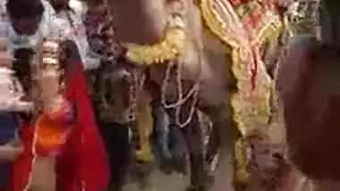 Ajab Desh Ki Gajab Tamasha Camel engulfing milk sacks