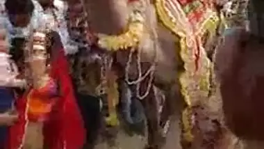 Ajab Desh Ki Gajab Tamasha – Camel sucking boobs