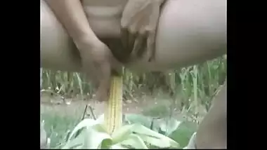 Corn in the Pussy