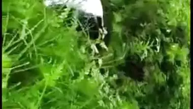 Desi mms sex, Horny Tamil couple was caught fucking outdoor in bushes